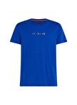 Tommy Hilfiger Bisiklet Yaka Mavi Erkek T-Shirt MW0MW31535C66_4