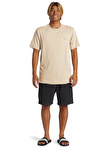 Quiksilver Kahve Erkek O Yaka Standart Fit Baskılı T-Shirt AQYZT09563_STEP UP MOR