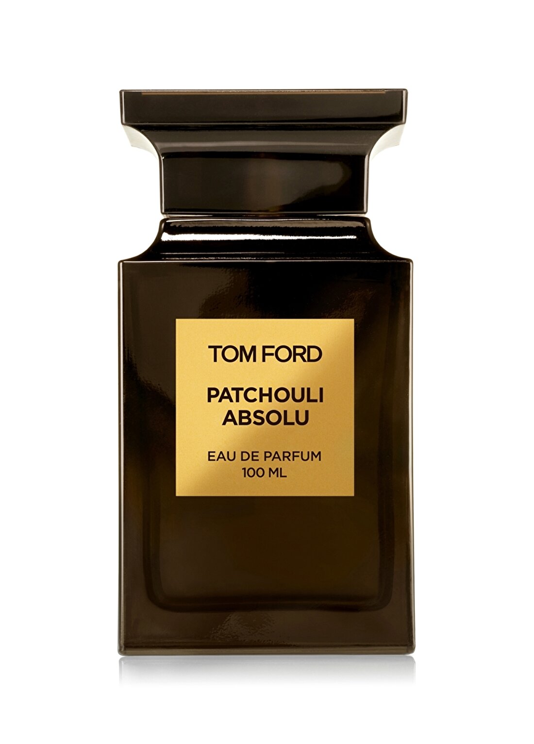 Tom Ford Patchouli Absolu 100 ML Parfüm