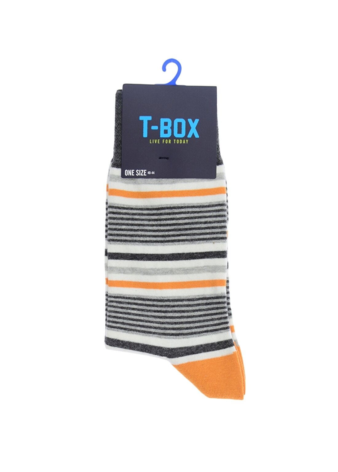 T-Box Çizgili Gri Çorap