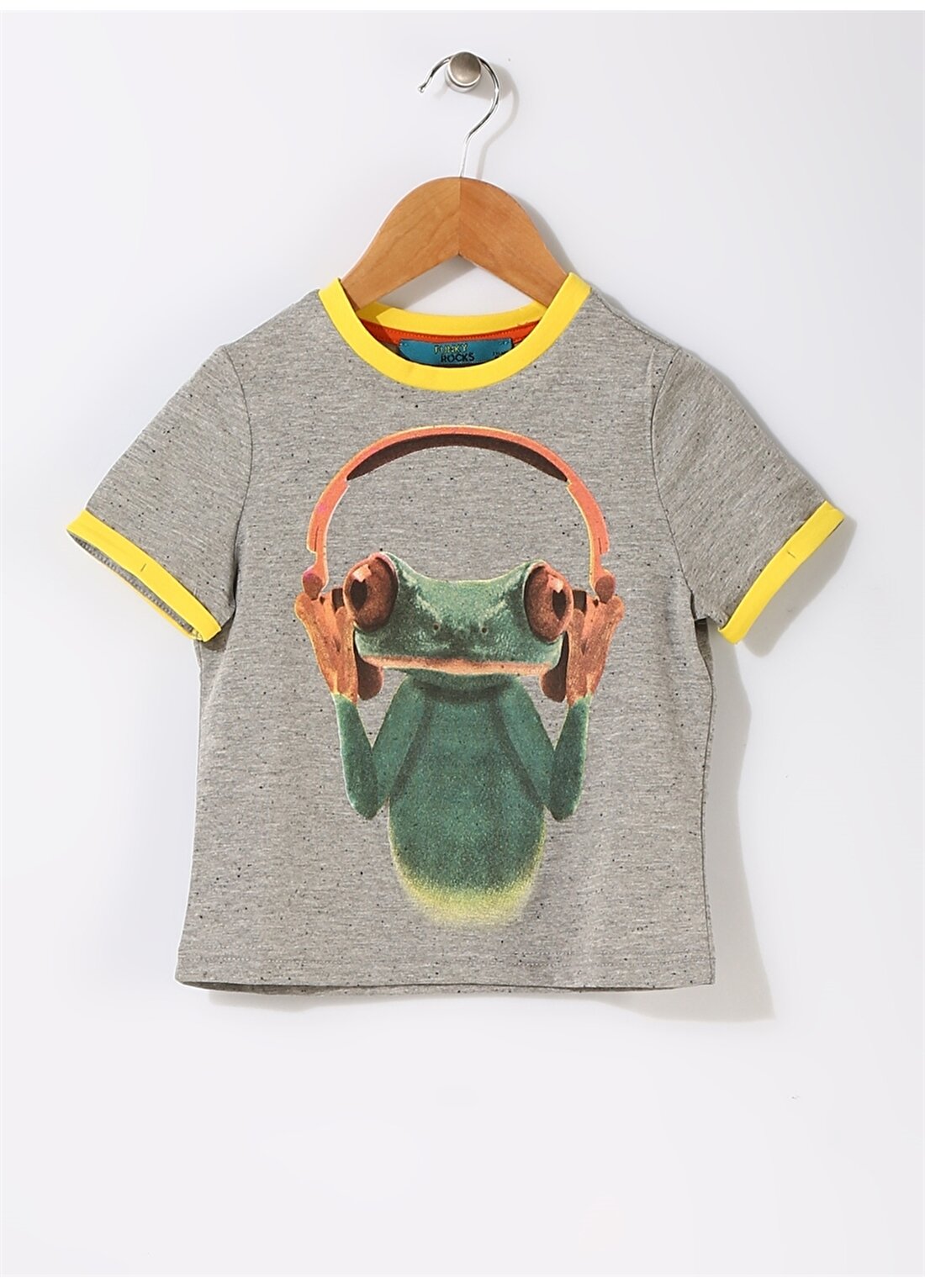 Funky Rocks Çocuk Kurbağa Baskılı Gri T-Shirt