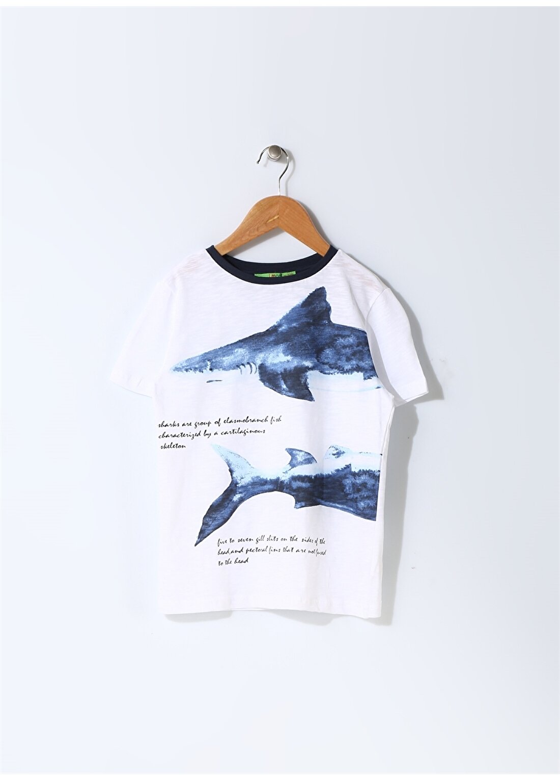 Limon Balık Baskılı T-Shirt