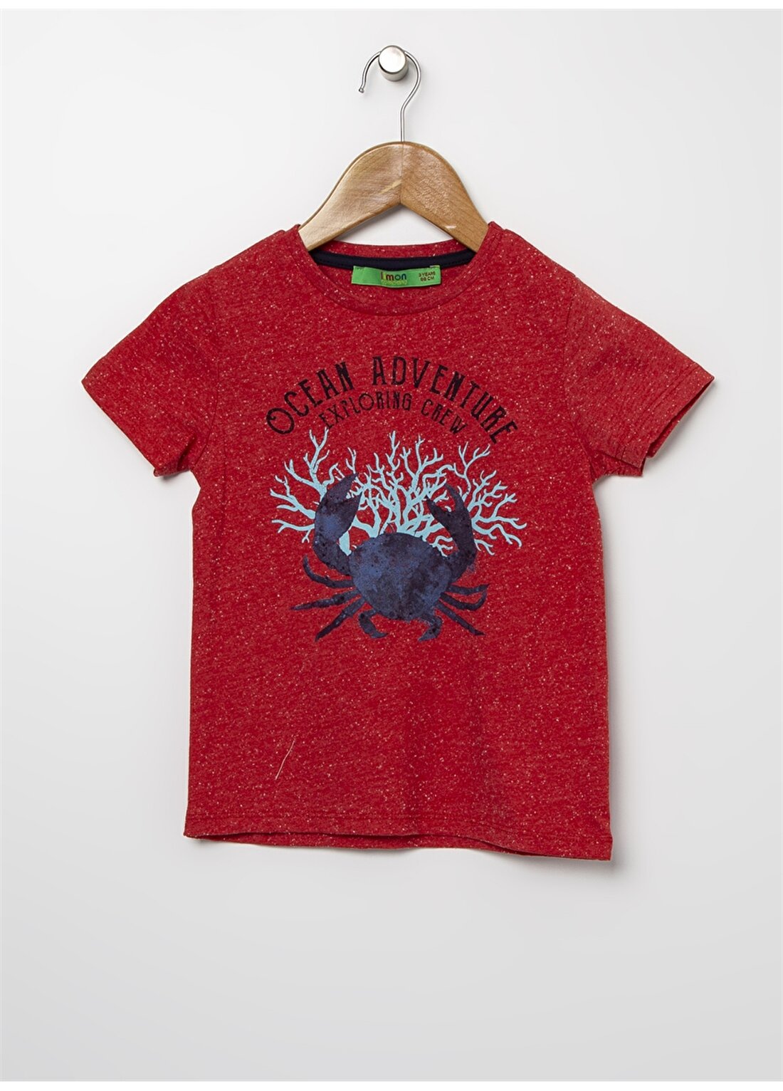 Limon Exporboy Kırmızı Melanj Görsel Baskılı Erkek Çocuk T-Shirt