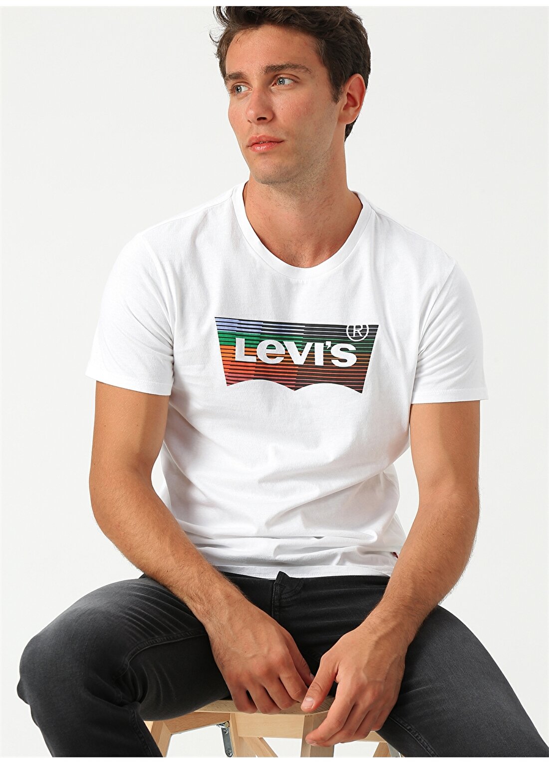 Levis Housemark Graphic Tee Hm Ssnl White Gra T-Shirt