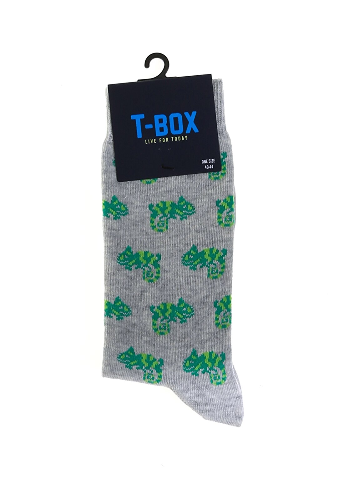 T-Box Bukalemun Gri Erkek Çorap