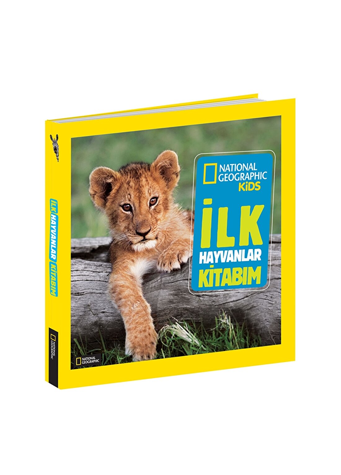 Beta Kids İlk Hayvanlar Kitabım Kitap