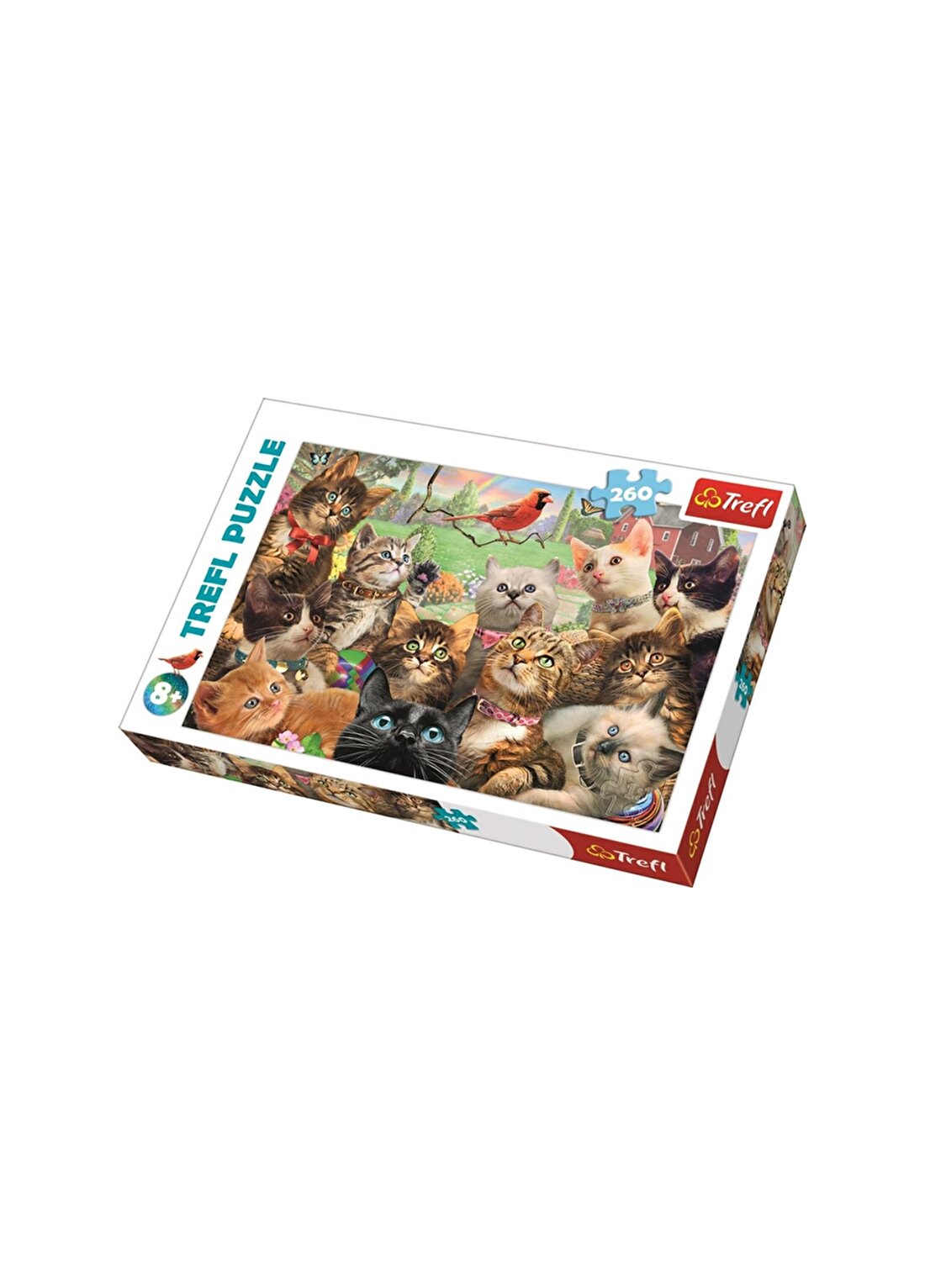 Art Puzzle Kutu Oyunu KITTENS - 260 PARÇA