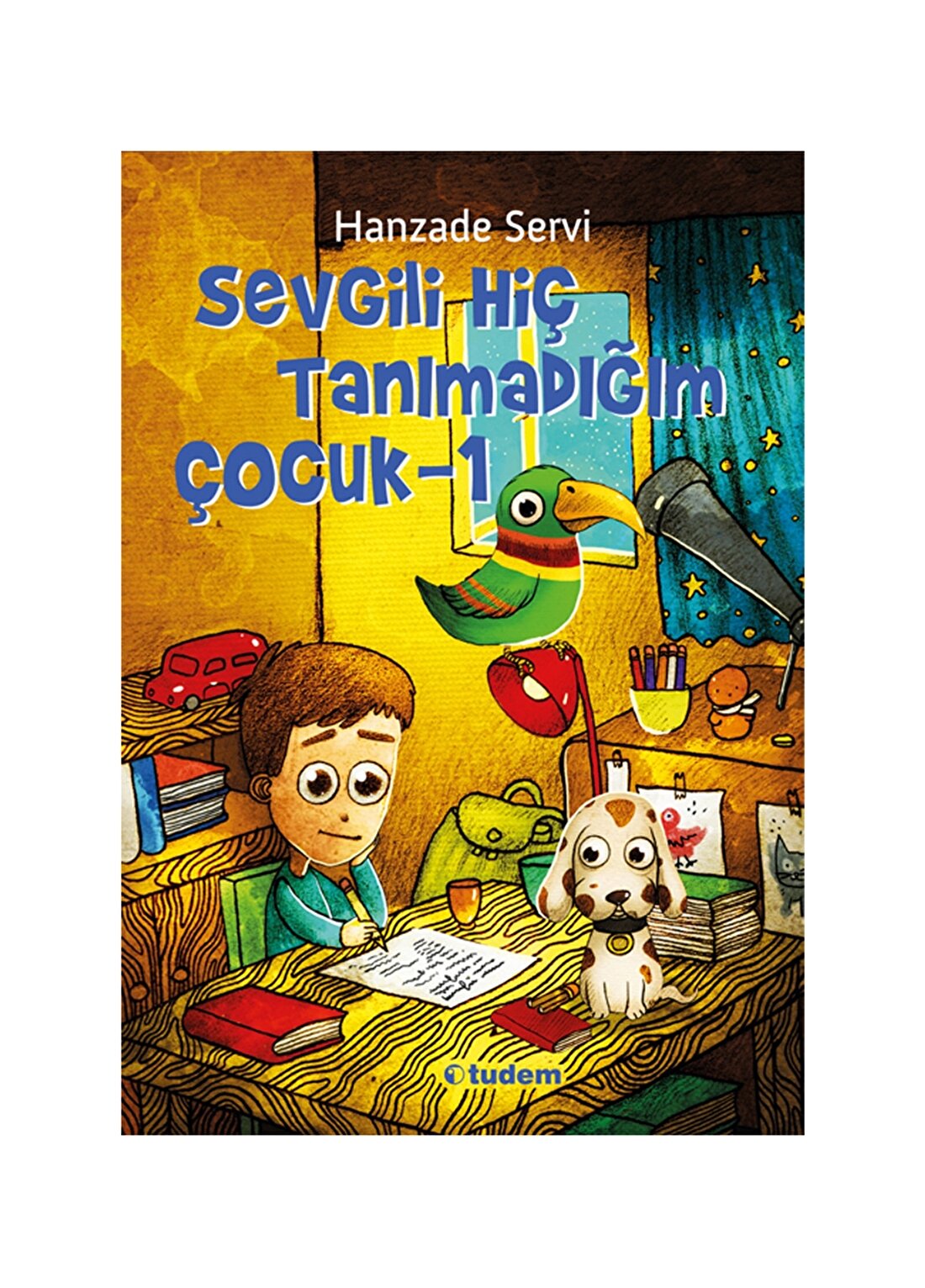 Tudem Sevgili Hiç Tanımadığım Çocuk Kitap