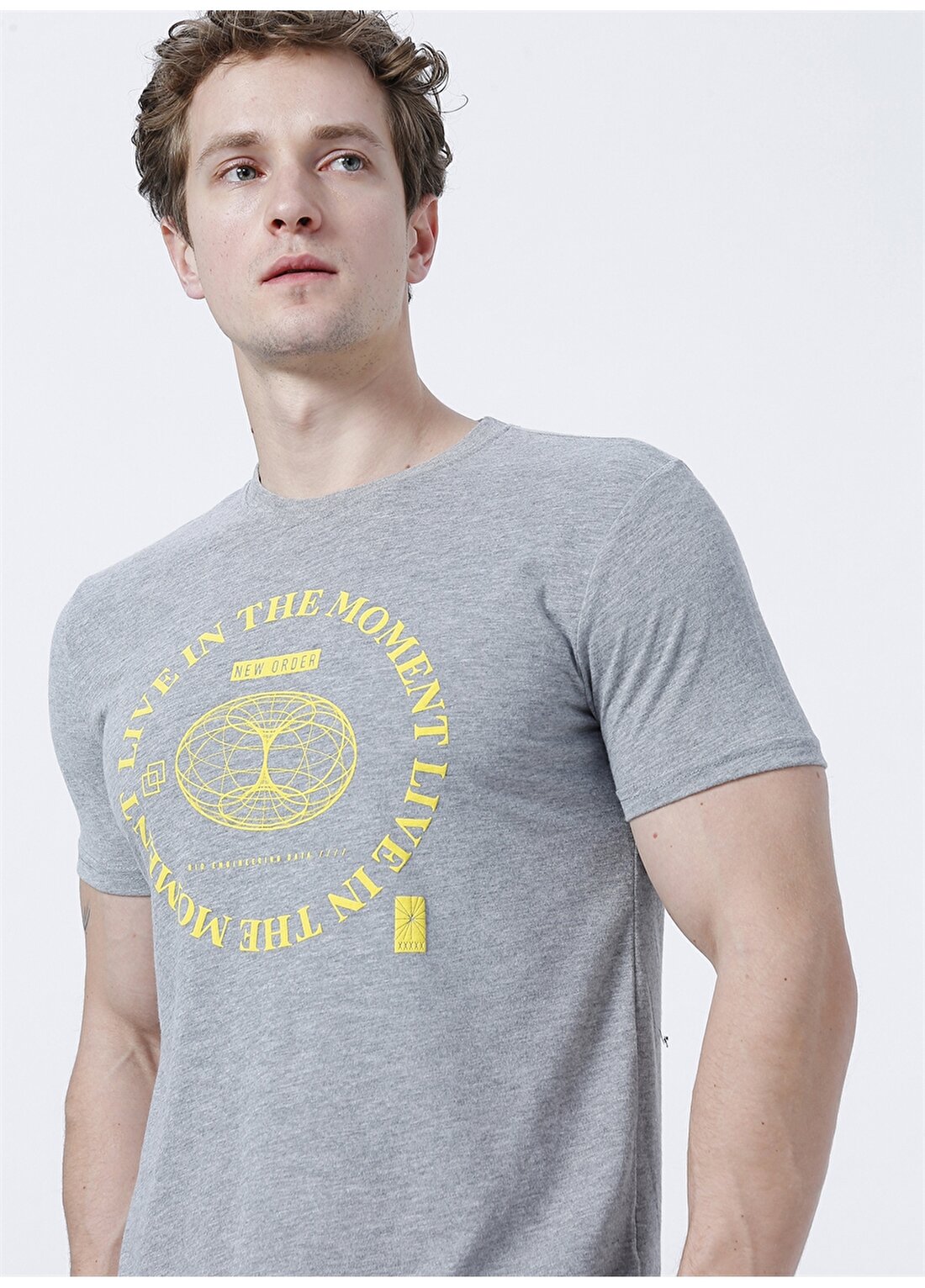 Aeropostale Bisiklet Yaka Baskılı Gri Melanj Erkek T-Shirt E-MOMENT