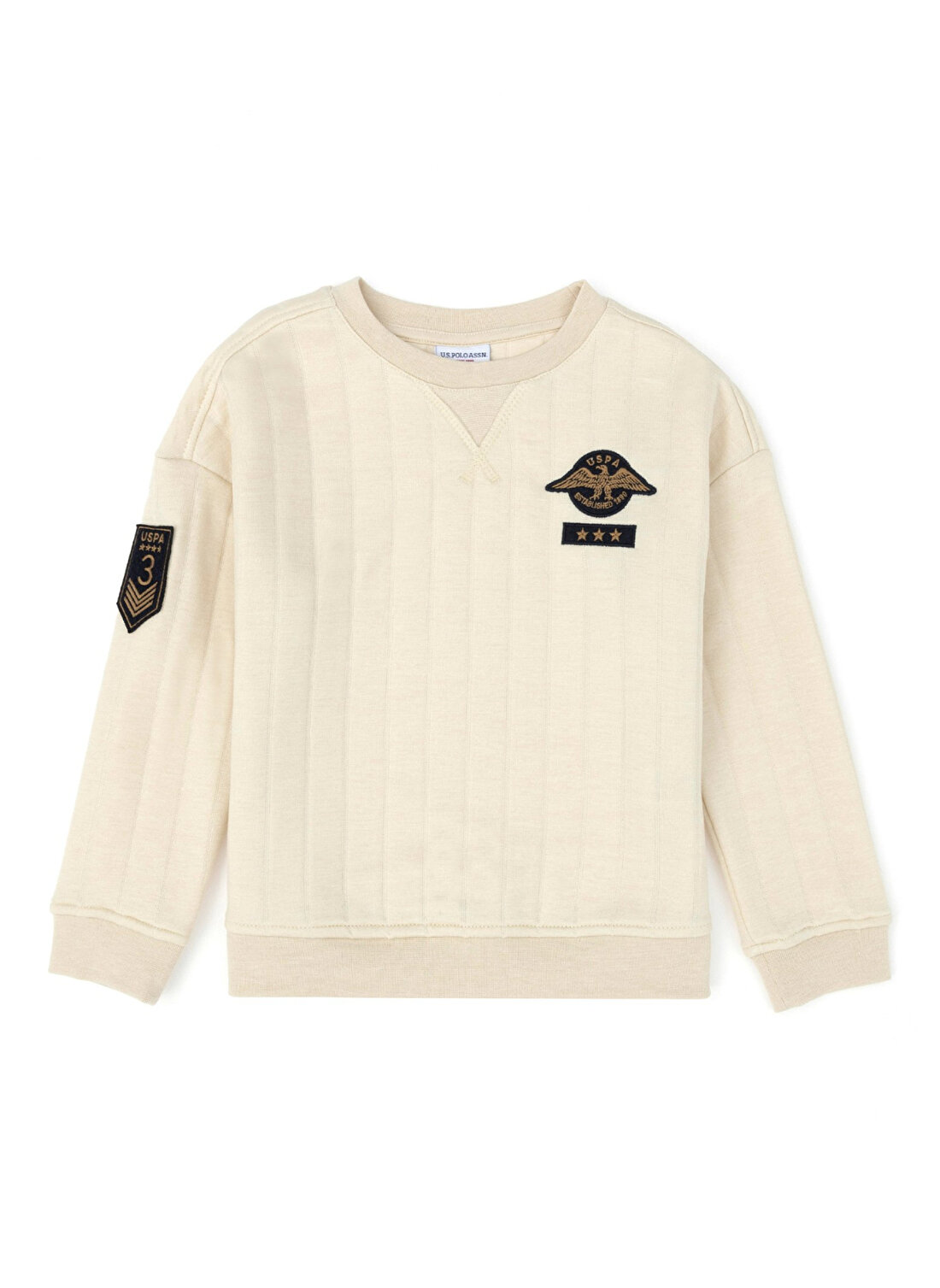 U.S. Polo Assn. Taş Erkek Çocuk Sweatshirt 