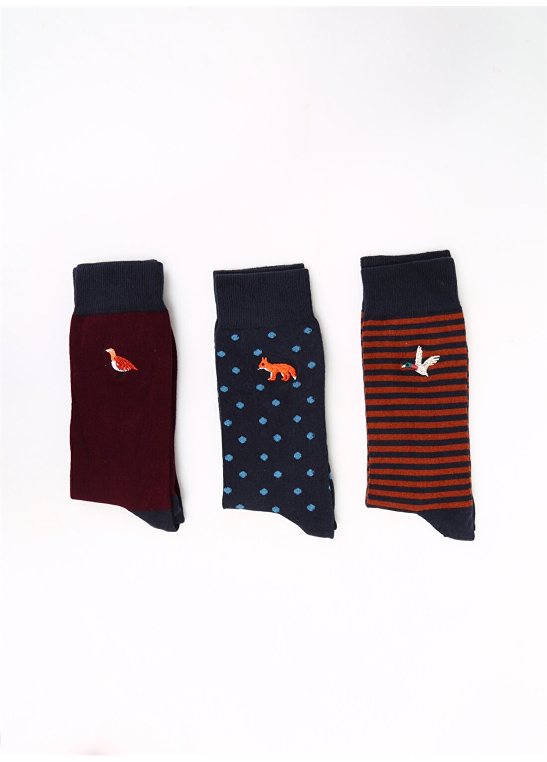Cozzy Socks 3'Lü Çok Renkli Erkek Çorap Cozzy-Nakış-Kutu