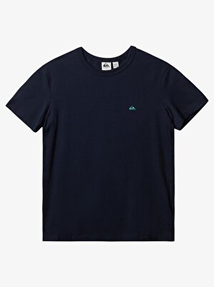 Quiksilver ESSENTIALS SS Erkek T-Shirt EQYKT04092-BYJ0