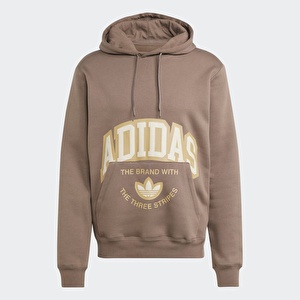 adidas IS0237 VRCT HOODIE Erkek Sweatshirt