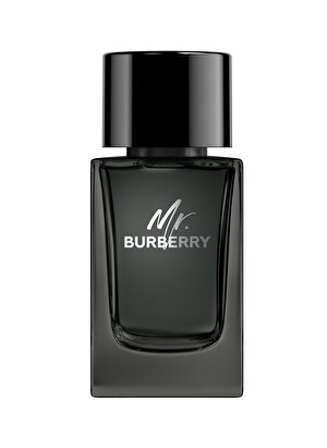 Mr. Burberry Edp 100 ml / 3.3 Fl.Oz.