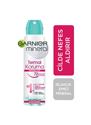 Garnier Deodorant