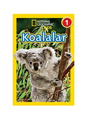 Beta Kids Koalalar Kitap
