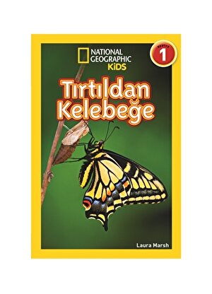 Beta Kids Kitap Tırtıldan Kelebeğe