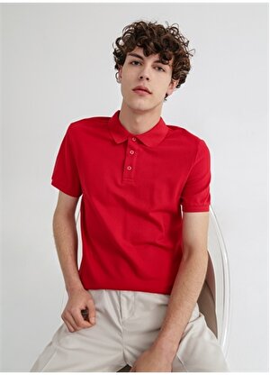 Limon Oscar21 Polo Yaka  Basic Düz Koyu Kırmızı Erkek T-Shirt