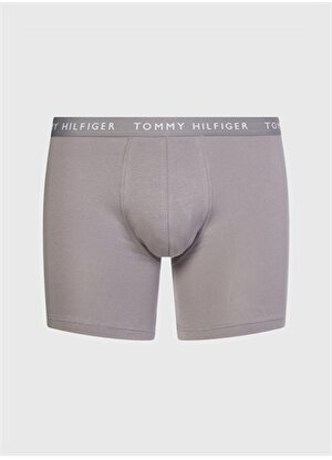 Tommy Hilfiger Altın Erkek Boxer UM0UM022040TG002