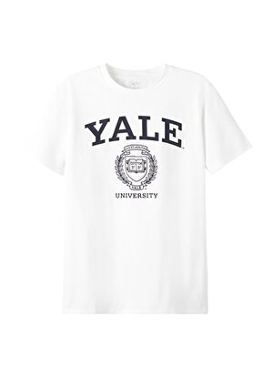 Lmtd Beyaz Erkek Çocuk O Yaka Kısa Kollu Baskılı T-Shirt NLNALFI UNIVERSITY SS TOP PARK  