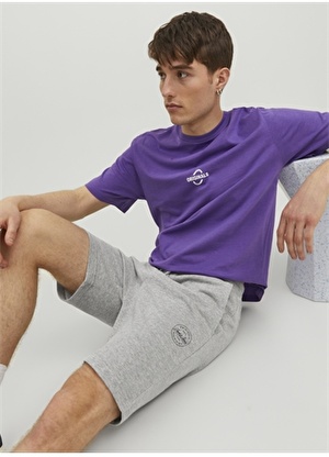 Jack & Jones Standart Açık Gri Erkek Şort 12228647_JPSTSHARK SWEAT SHORTS AT