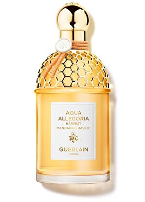 Guerlain Aqua Allegoria Harvest Mandarine Basilic EDT 4.2oz/125ml Limited Parfüm