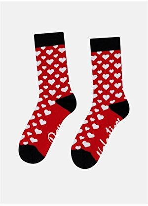 Cozzy Socks Kırmızı - Beyaz Kadın Patik Çorap