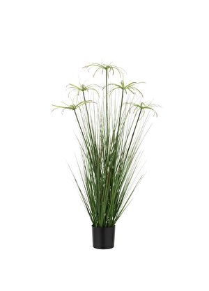 Dekoratif Saksılı Cyperus 100cm