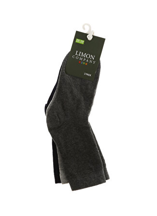 Limon Company Lacivert - Gri Kız Çocuk Düz Soket Çorap