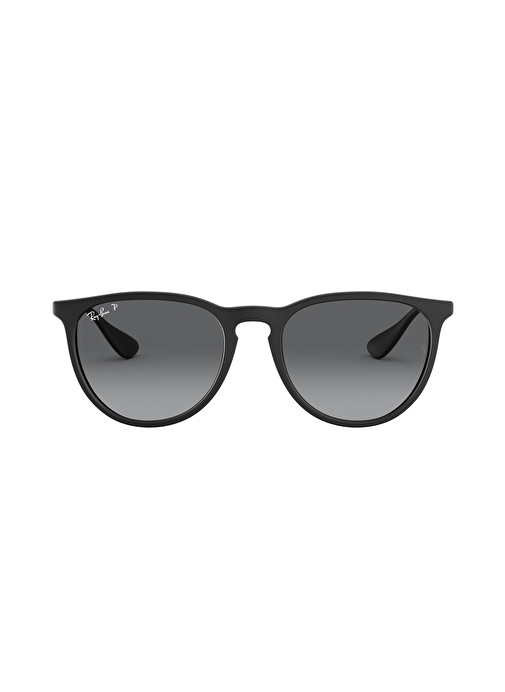 Ray-Ban Unisex Güneş Gözlüğü 0RB4171