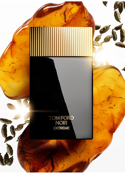 Tom Ford Noir Extreme EDP 100 Ml Erkek Parfüm 2