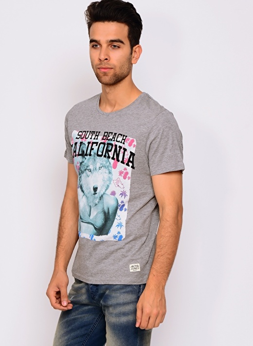 Jack & Jones Açık Antrasit Erkek T-Shirt 3