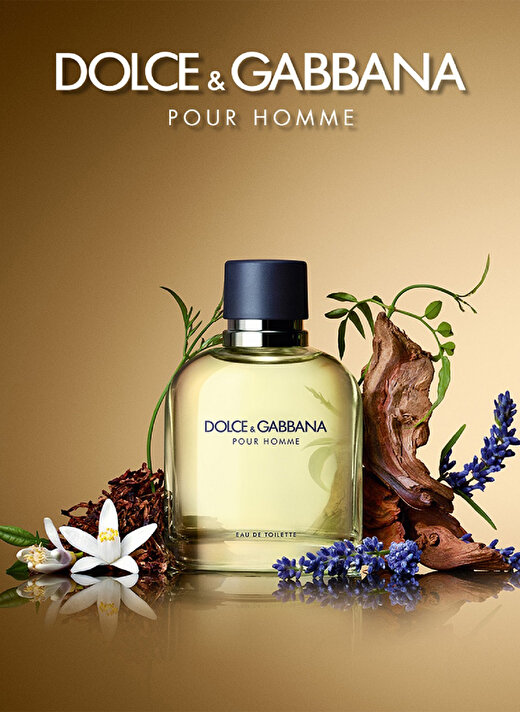 Dolce&Gabbana Pour Homme Edt 75 ml Erkek Parfüm 3