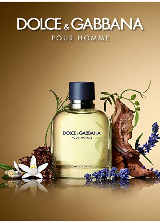 Dolce&Gabbana Pour Homme Edt 75 Ml Erkek Parfüm 3