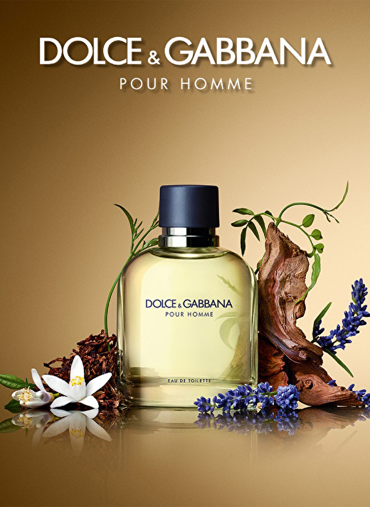 Dolce&Gabbana Pour Homme Edt 125 ml Erkek Parfüm 3