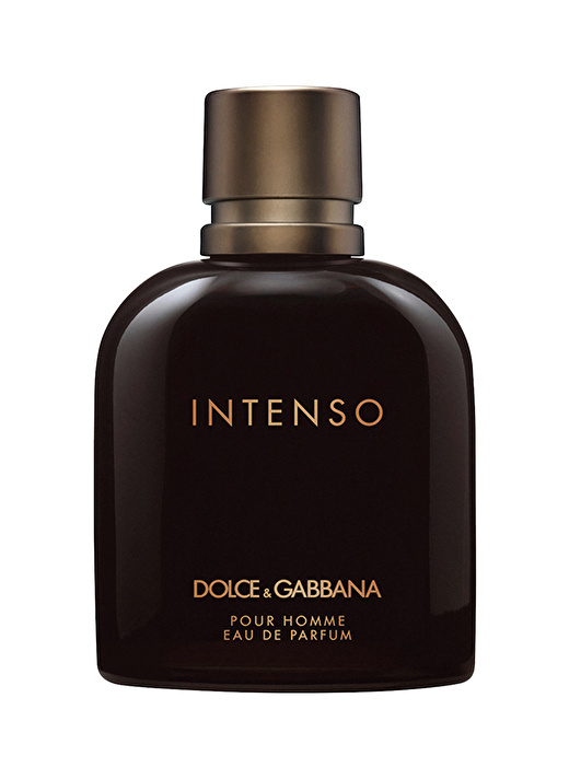 Dolce&Gabbana Eau Intenso Edp 125 ml Erkek Parfüm 1