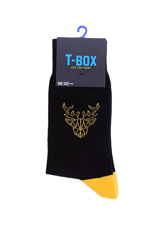 T-Box Oranj Çorap 1