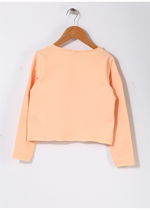 Pink&Orange Kız Çocuk At Baskılı Somon Sweatshirt 2