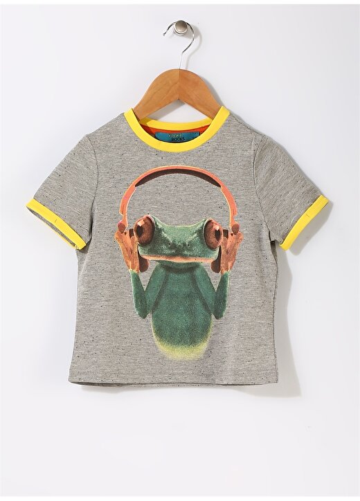 Funky Rocks Çocuk Kurbağa Baskılı Gri T-Shirt 1