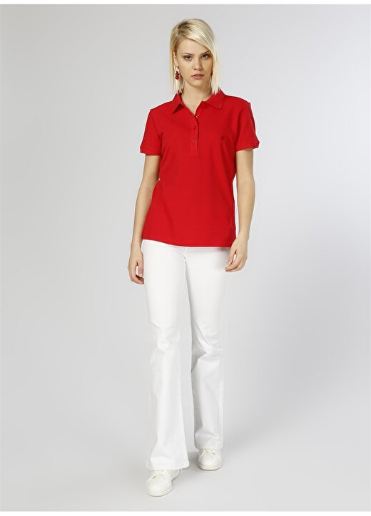 Limon Polo Yaka Basic Kırmızı T-Shirt 2