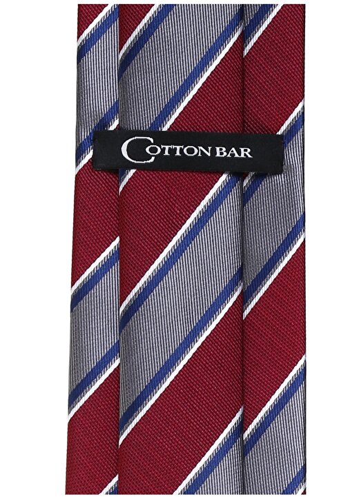 Cotton Bar Çizgili Renkli Erkek Kravat 2