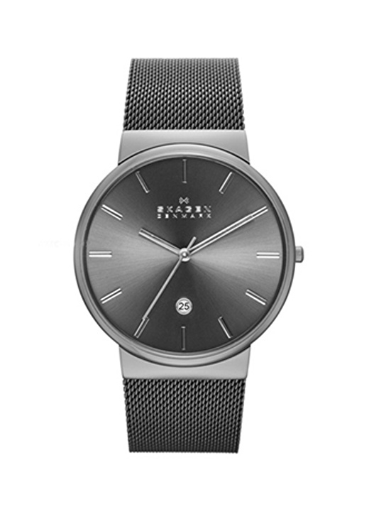 Skagen SKW6108 Erkek Saat 1