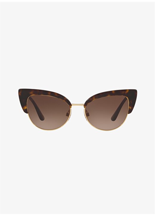 Dolce&Gabbana 0DG4346 Kadın Güneş Gözlüğü 2
