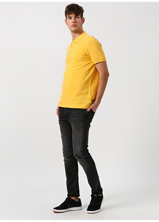 Limon Sarı Polo T-Shirt 2
