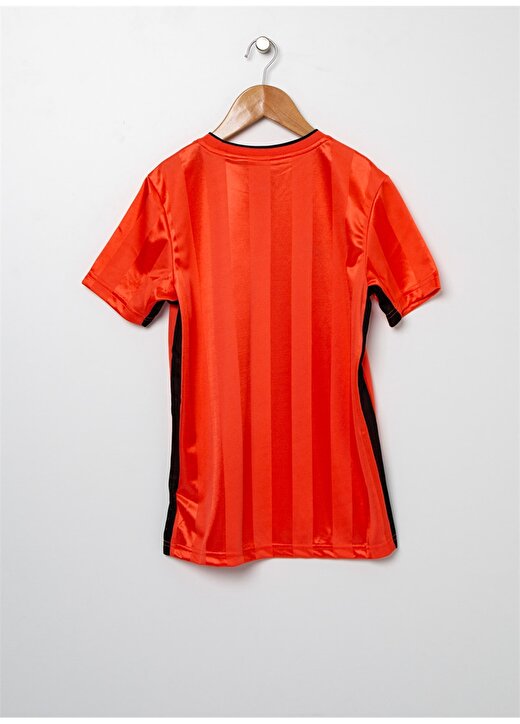 Nike T-Shirt 2