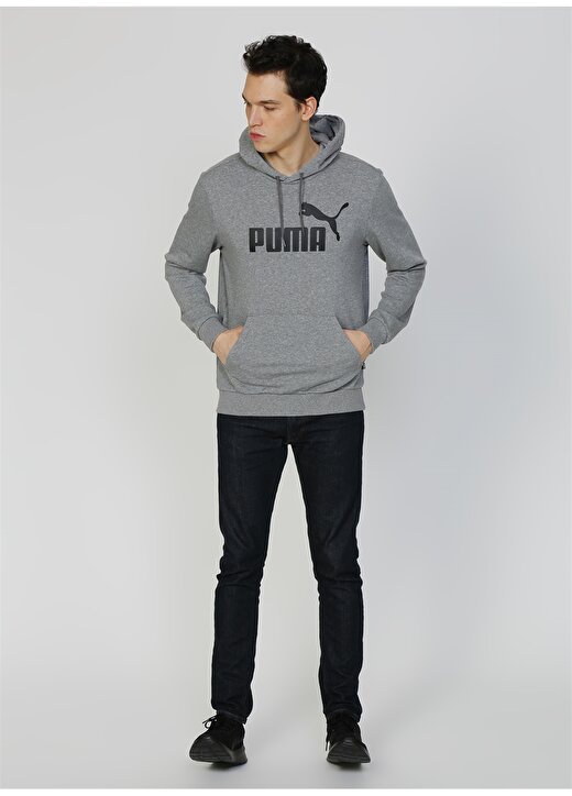 Puma Essentials Hoody Sweatshirt 2