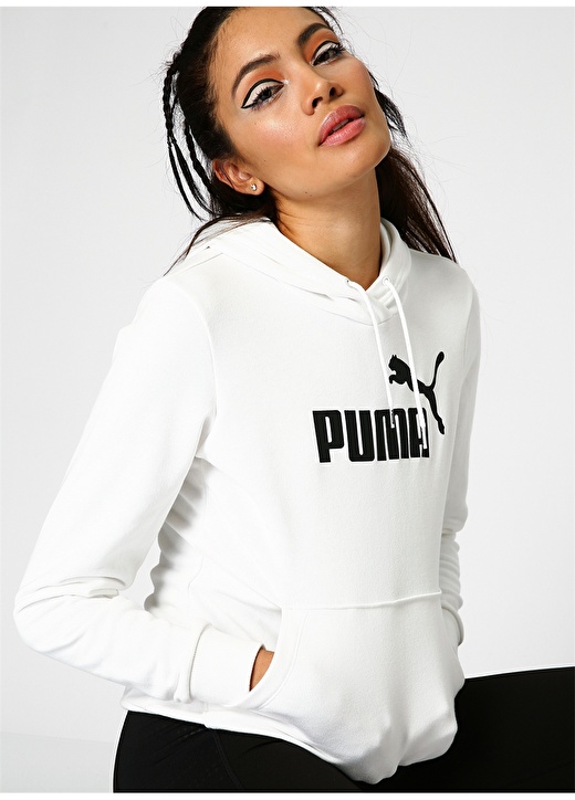 Puma Essentials Hoody Sweatshirt 1