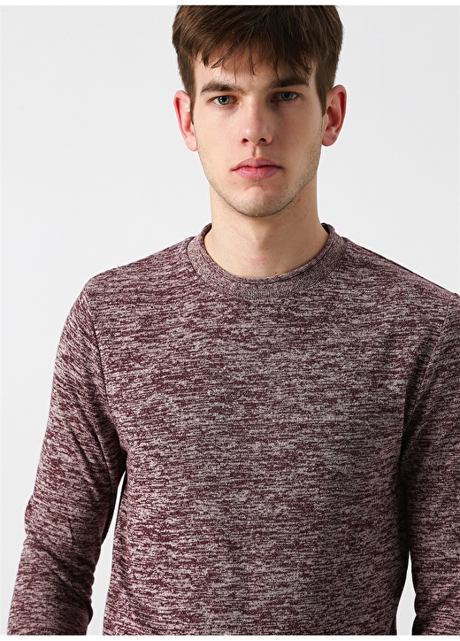 Jack & Jones 12160904 Fresh Knit O Yaka Erkek Mürdüm Kazak 1