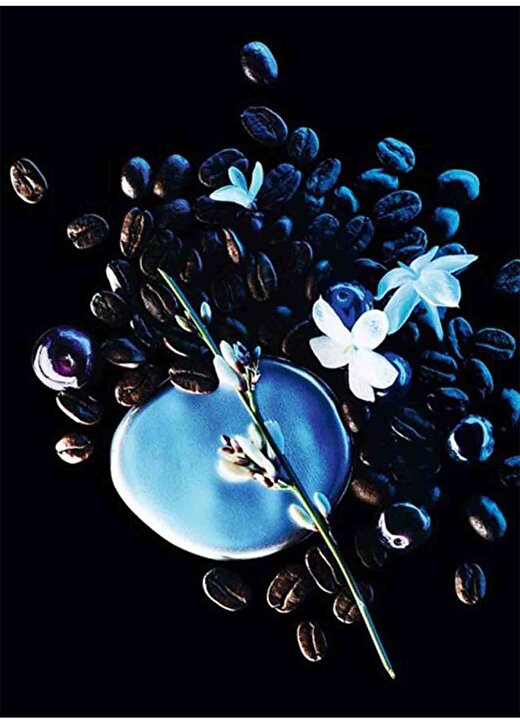 Yves Saint Laurent Black Opium Edp Intense 50 Ml Kadın Parfüm 3