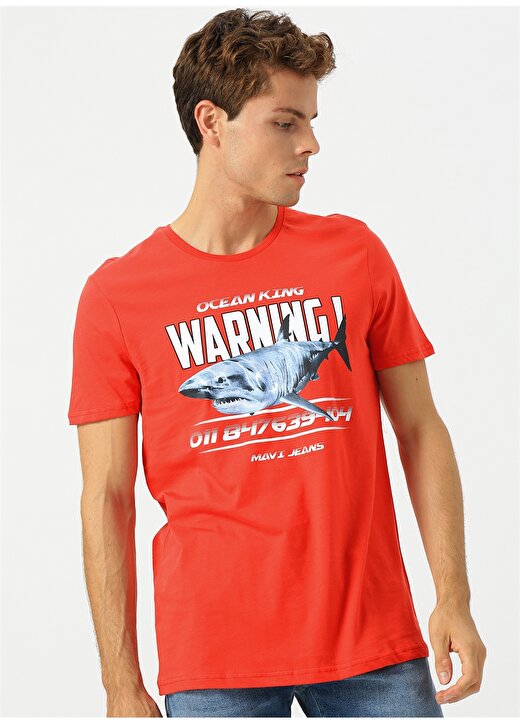 Mavi Köpekbalığı Baskılı T-Shirt 3